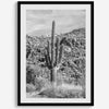 Fine Art Saguaro Cactus Desert Print - Large Retro Black and White Desert Photography Wall Art, Framed Saguaro National Park Home Wall Decor