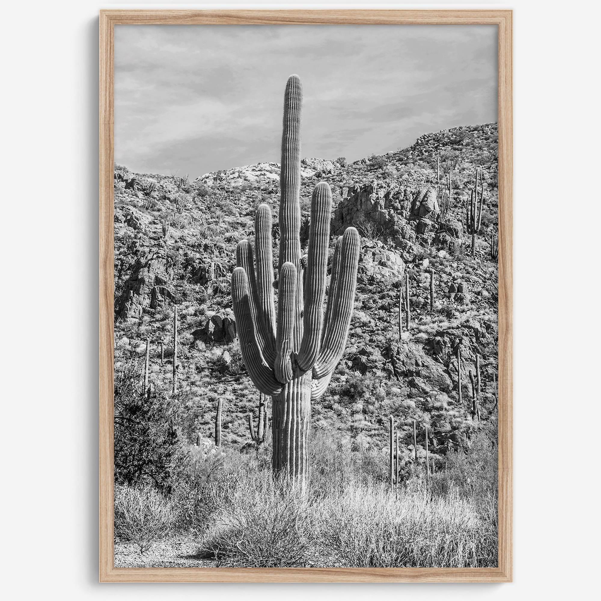 Fine Art Saguaro Cactus Desert Print - Large Retro Black and White Desert Photography Wall Art, Framed Saguaro National Park Home Wall Decor