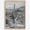 Fine Art Saguaro Cactus Desert Print - Large Retro Black and White Desert Photography Wall Art, Framed Saguaro National Park Home Wall Decor