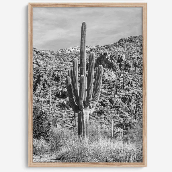 Fine Art Saguaro Cactus Desert Print - Large Retro Black and White Desert Photography Wall Art, Framed Saguaro National Park Home Wall Decor