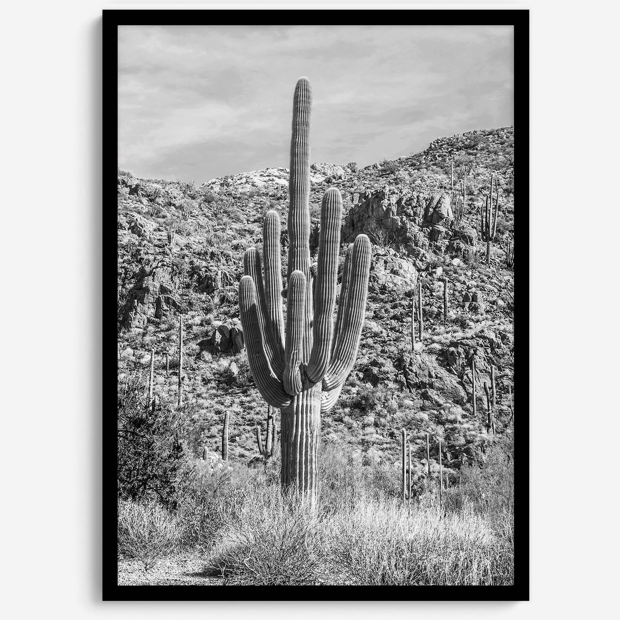 Fine Art Saguaro Cactus Desert Print - Large Retro Black and White Desert Photography Wall Art, Framed Saguaro National Park Home Wall Decor
