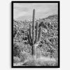 Fine Art Saguaro Cactus Desert Print - Large Retro Black and White Desert Photography Wall Art, Framed Saguaro National Park Home Wall Decor