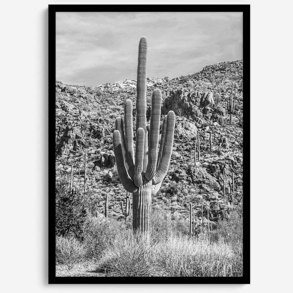 Fine Art Saguaro Cactus Desert Print - Large Retro Black and White Desert Photography Wall Art, Framed Saguaro National Park Home Wall Decor