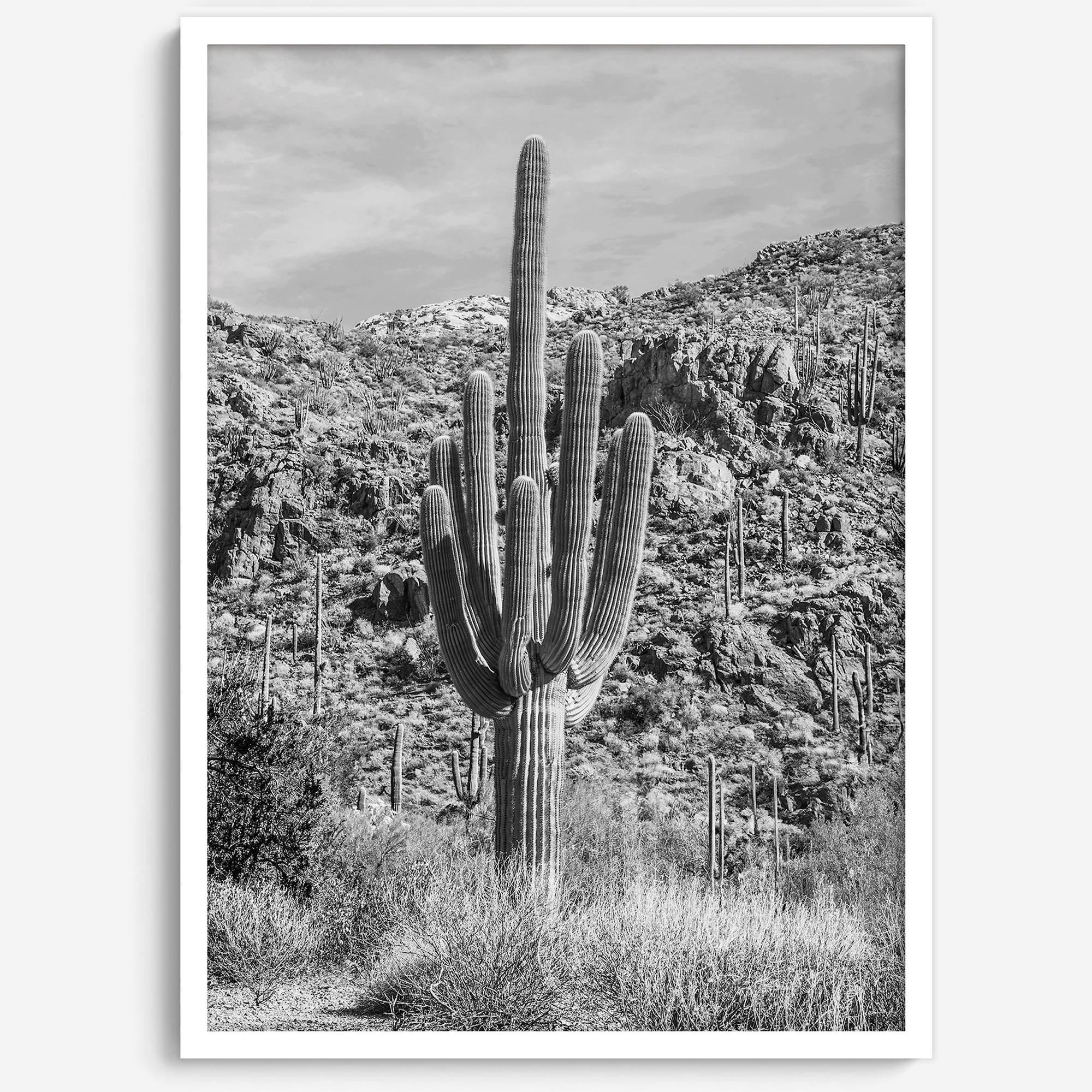 Fine Art Saguaro Cactus Desert Print - Large Retro Black and White Desert Photography Wall Art, Framed Saguaro National Park Home Wall Decor