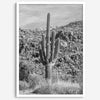 Fine Art Saguaro Cactus Desert Print - Large Retro Black and White Desert Photography Wall Art, Framed Saguaro National Park Home Wall Decor