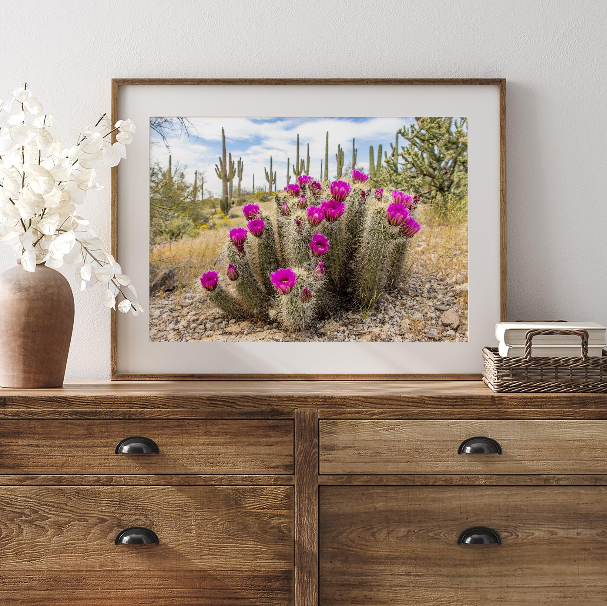 Arizona Desert Wall Art featuring a blooming hedgehog cactus in Saguaro National Park