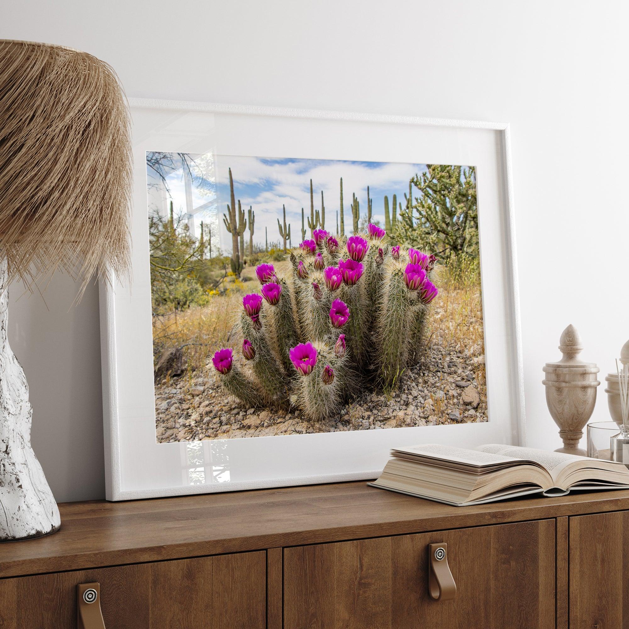 Arizona Desert Wall Art featuring a blooming hedgehog cactus in Saguaro National Park