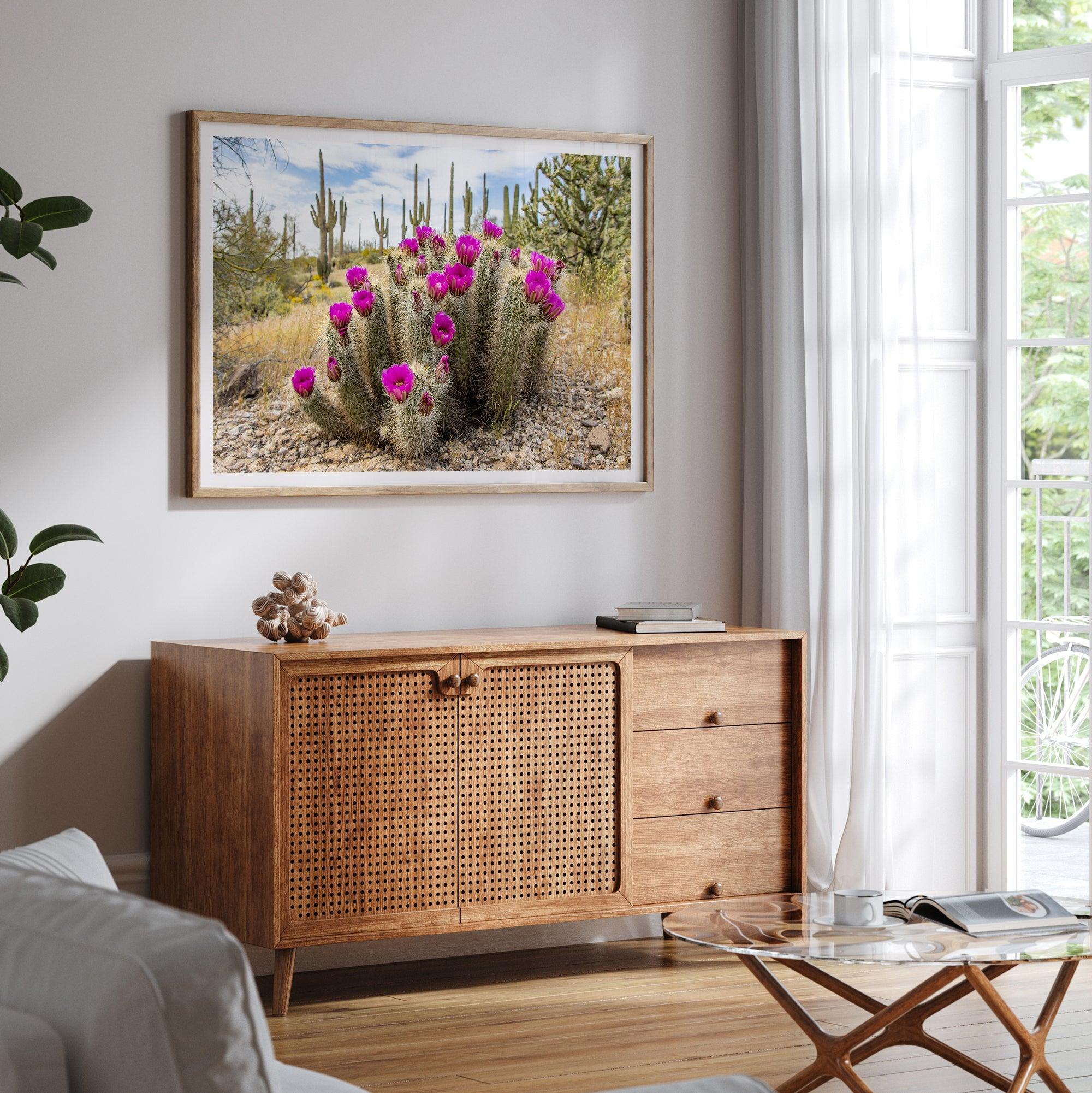 Arizona Desert Wall Art featuring a blooming hedgehog cactus in Saguaro National Park