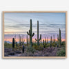 Cactus art print of saguaro cacti at sunset with pastel sky over desert landscape.