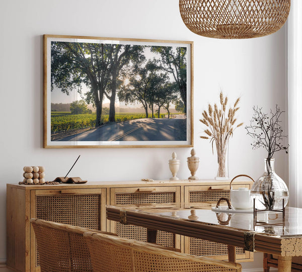 Step into California Wine Country with our fine art print of a winding road through the vineyards of the Russian River in Sonoma Valley. The rays of the setting sun are visible behind the trees, spreading warmth across THE vineyards.