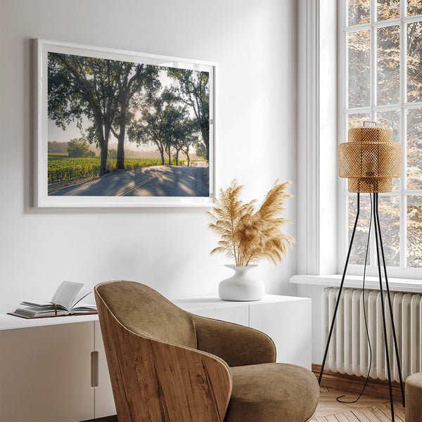 Step into California Wine Country with our fine art print of a winding road through the vineyards of the Russian River in Sonoma Valley. The rays of the setting sun are visible behind the trees, spreading warmth across THE vineyards.