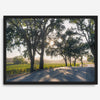 Step into California Wine Country with our fine art print of a winding road through the vineyards of the Russian River in Sonoma Valley. The rays of the setting sun are visible behind the trees, spreading warmth across THE vineyards.