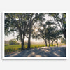 Step into California Wine Country with our fine art print of a winding road through the vineyards of the Russian River in Sonoma Valley. The rays of the setting sun are visible behind the trees, spreading warmth across THE vineyards.