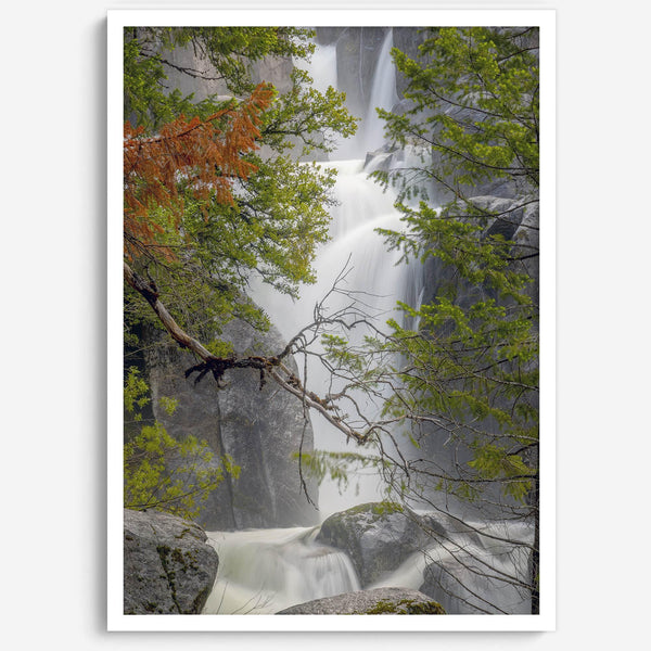 Black and white minimalist fine art print of Yosemite National Park. Sunlight filters through green leaves, revealing a hint of a cascading waterfall.