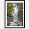 Black and white minimalist fine art print of Yosemite National Park. Sunlight filters through green leaves, revealing a hint of a cascading waterfall.