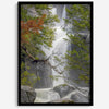 Black and white minimalist fine art print of Yosemite National Park. Sunlight filters through green leaves, revealing a hint of a cascading waterfall.