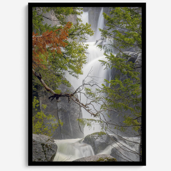 Black and white minimalist fine art print of Yosemite National Park. Sunlight filters through green leaves, revealing a hint of a cascading waterfall.