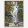 Black and white minimalist fine art print of Yosemite National Park. Sunlight filters through green leaves, revealing a hint of a cascading waterfall.