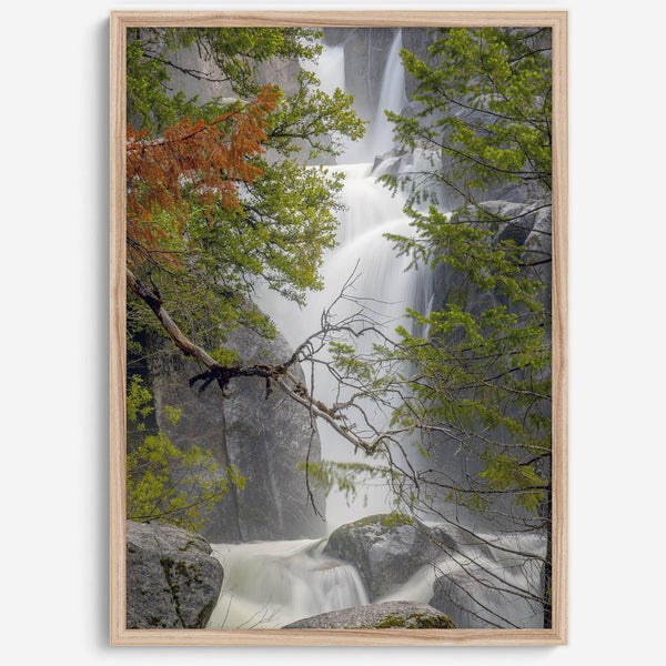 Black and white minimalist fine art print of Yosemite National Park. Sunlight filters through green leaves, revealing a hint of a cascading waterfall.