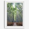 Vertical bamboo forest photograph from Arashiyama, tranquil path and glowing greens, premium bamboo wall art