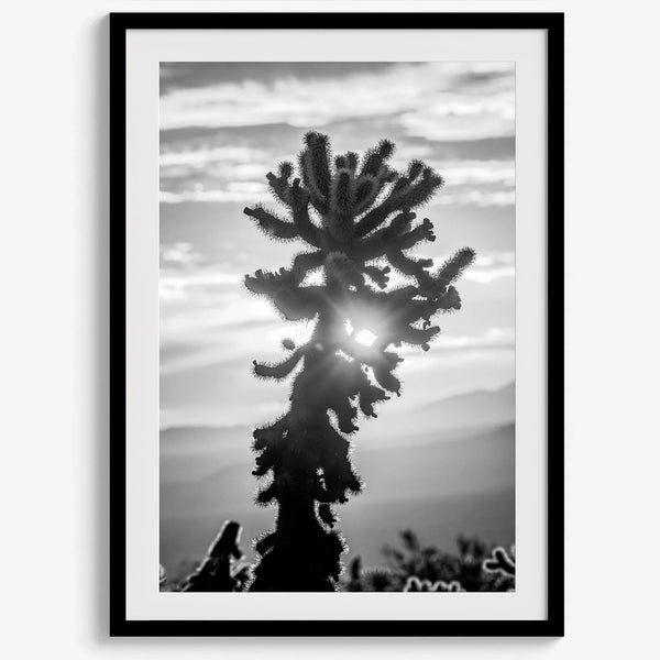 black and white cactus print and desert wall art showcasing a vivid sunset through a beautiful cactus silhouette.