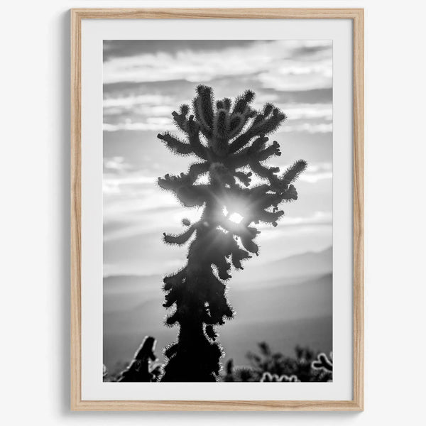 black and white cactus print and desert wall art showcasing a vivid sunset through a beautiful cactus silhouette.