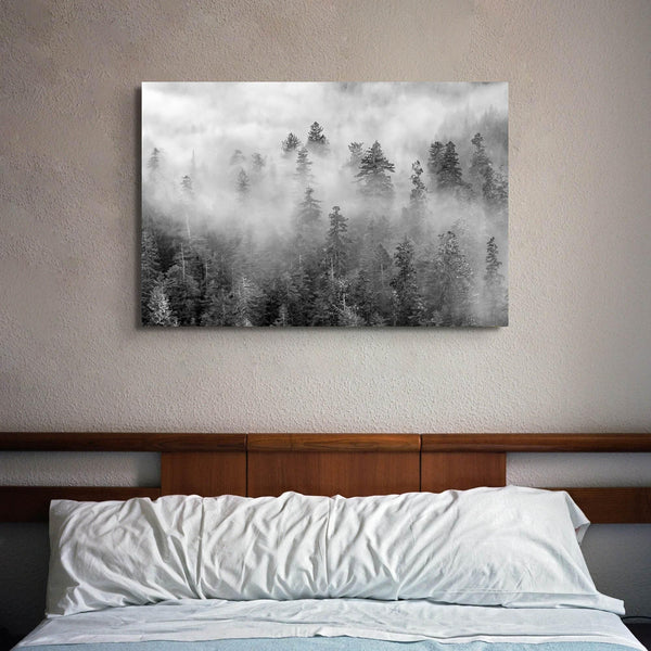 Black and white forest scene printed on canvas, with mist and soft contrast.