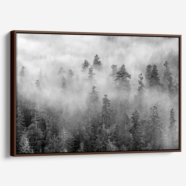 Black and white forest scene printed on canvas, with mist and soft contrast.