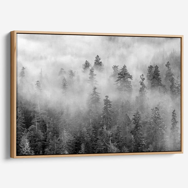 Black and white forest scene printed on canvas, with mist and soft contrast.