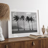 Black and white Hanalei Beach wall art featuring four palm trees with a coastal Kauai backdrop.