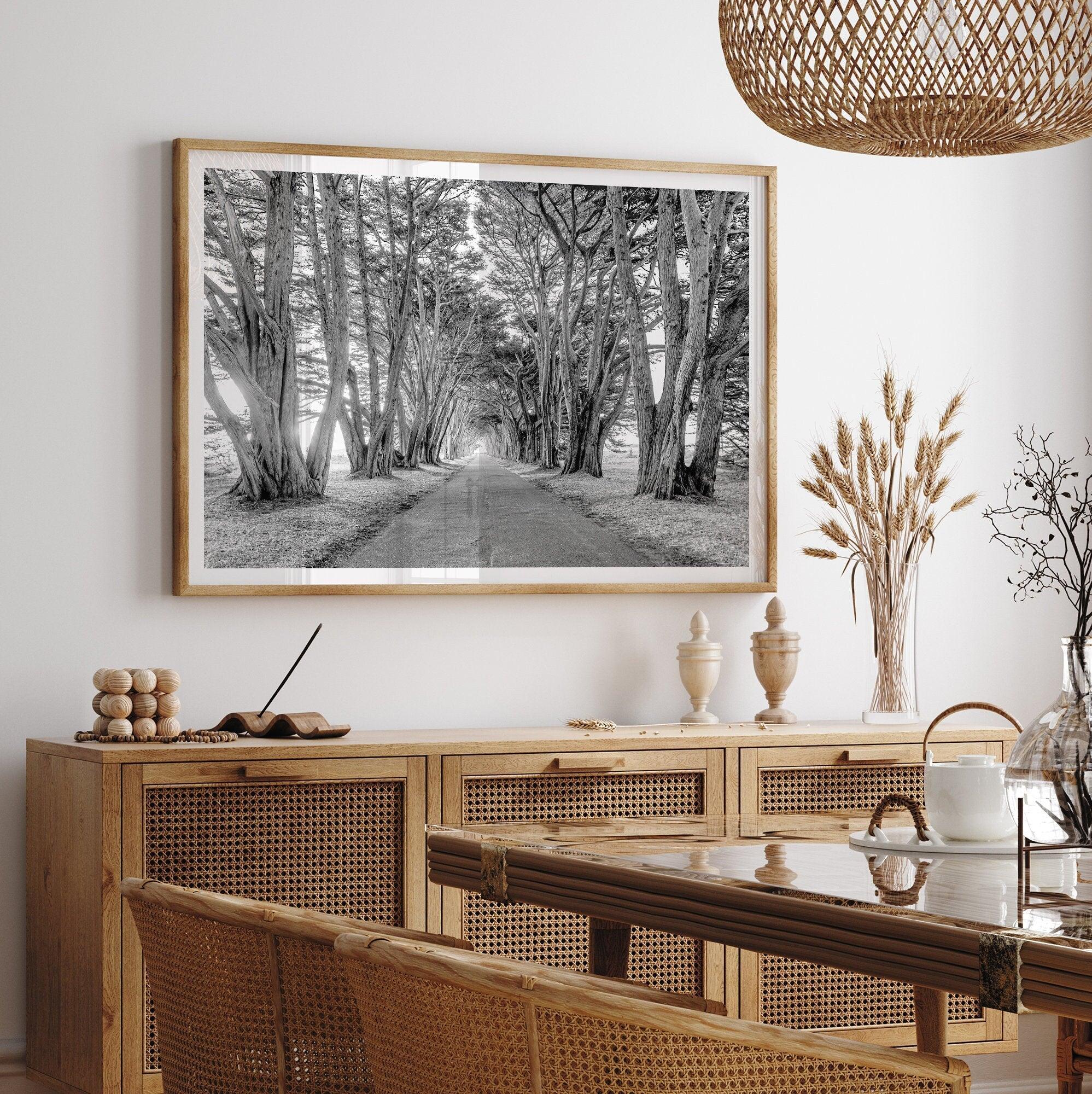 A fine art unframed or framed black and white coastal print of a breathtaking cypress tree tunnel in Point Reyes, California, near San Francisco.