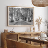 A fine art unframed or framed black and white coastal print of a breathtaking cypress tree tunnel in Point Reyes, California, near San Francisco.