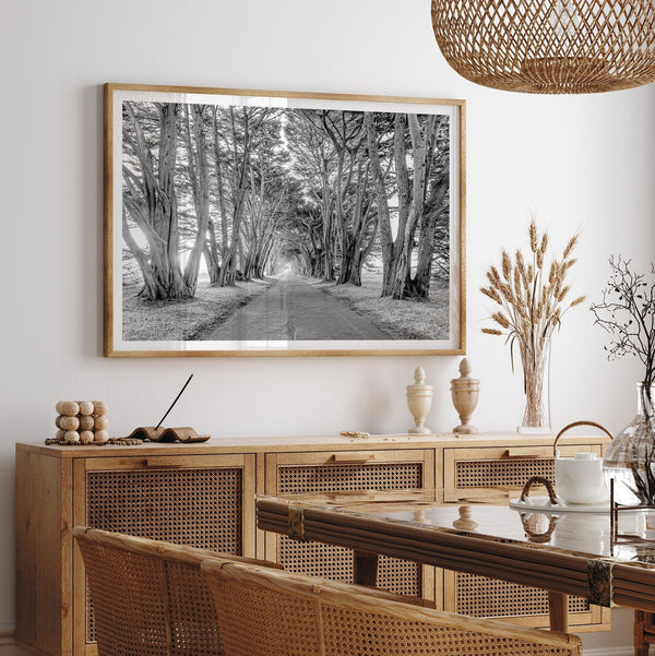 A fine art unframed or framed black and white coastal print of a breathtaking cypress tree tunnel in Point Reyes, California, near San Francisco.