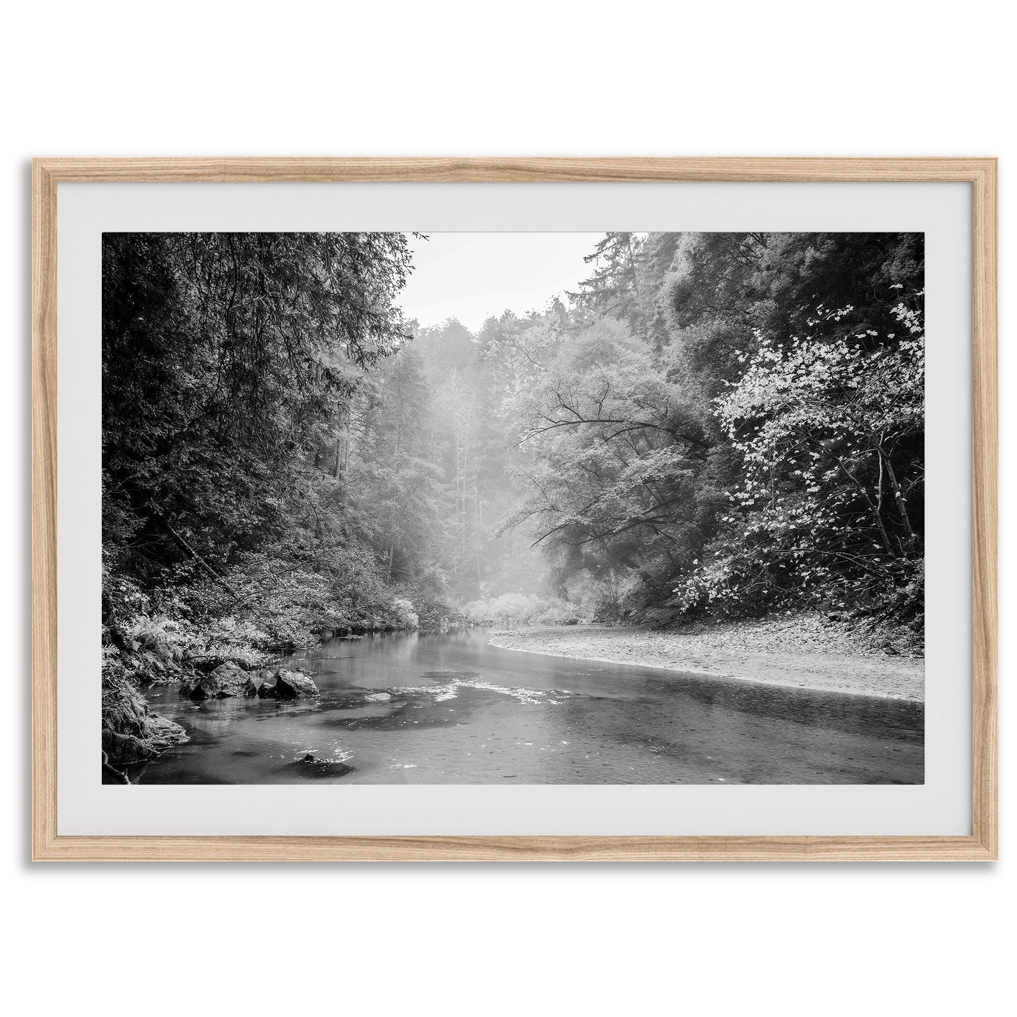 A minimalist fine art misty forest river photography wall art featuring a misty river in Henry Cowell Redwoods State Park, California.