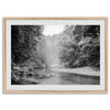 A minimalist fine art misty forest river photography wall art featuring a misty river in Henry Cowell Redwoods State Park, California.
