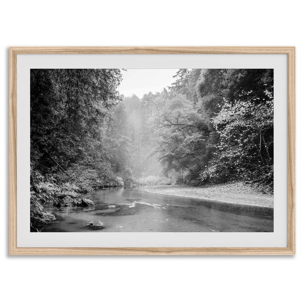 A minimalist fine art misty forest river photography wall art featuring a misty river in Henry Cowell Redwoods State Park, California.