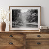 A minimalist fine art misty forest river photography wall art featuring a misty river in Henry Cowell Redwoods State Park, California.