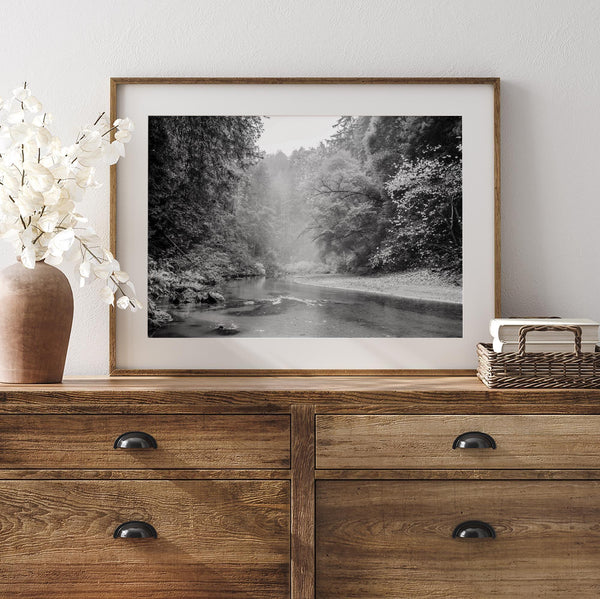 A minimalist fine art misty forest river photography wall art featuring a misty river in Henry Cowell Redwoods State Park, California.
