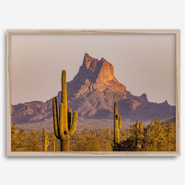 Framed photography print of an Arizona desert landscape with saguaro cacti and a sunlit mountain.