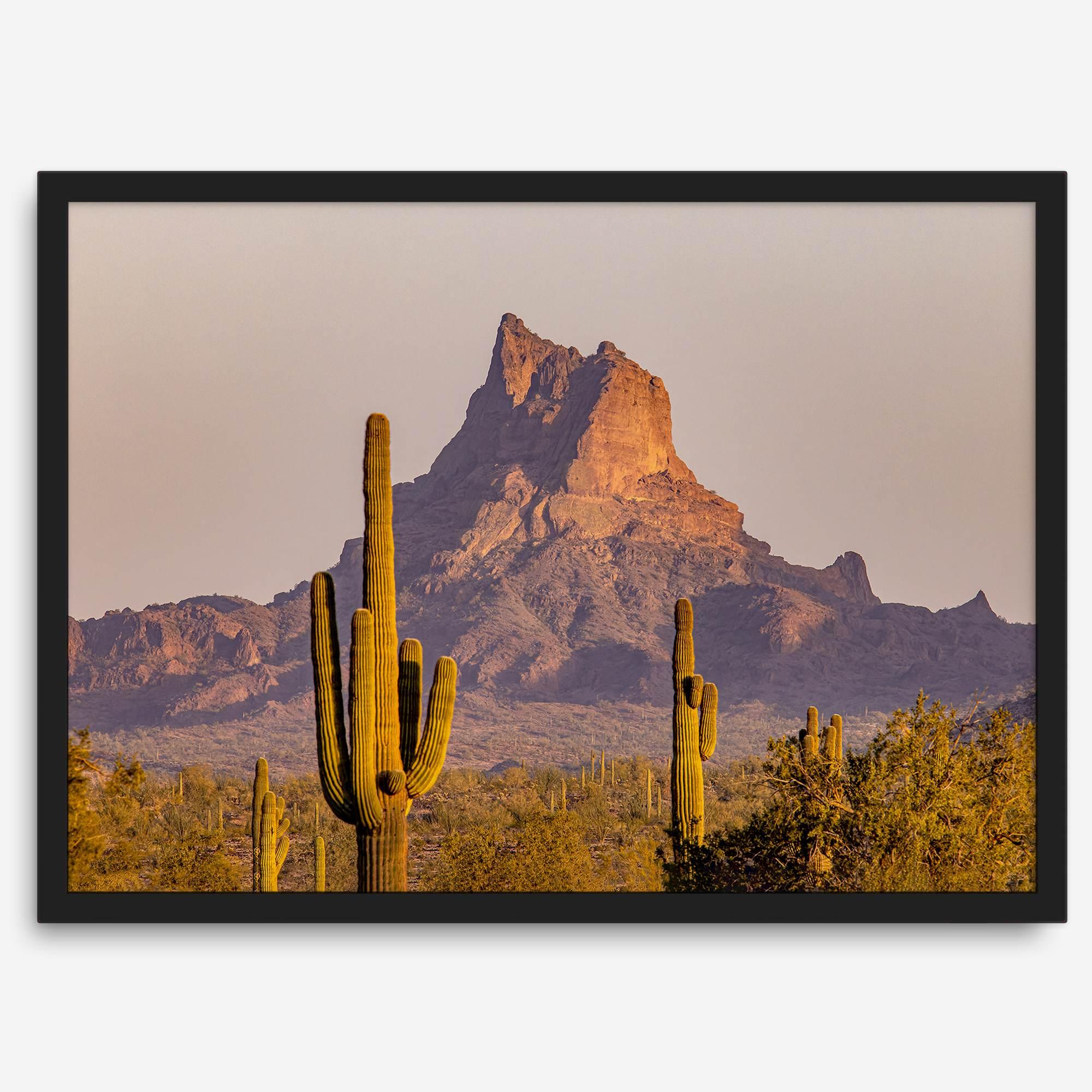 Framed photography print of an Arizona desert landscape with saguaro cacti and a sunlit mountain.