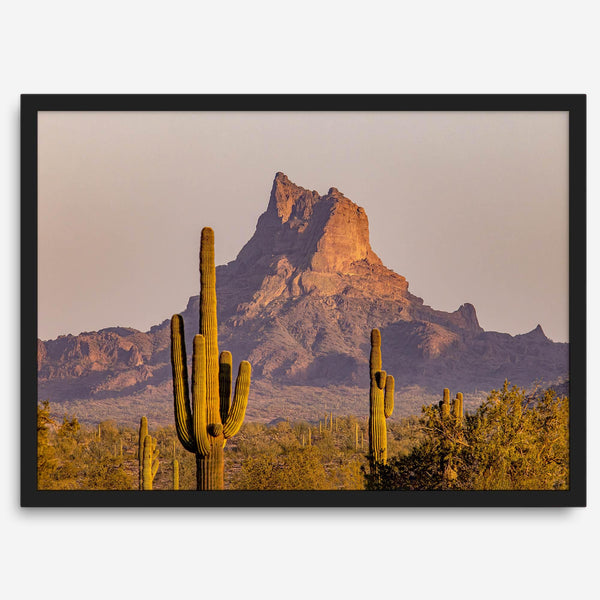 Framed photography print of an Arizona desert landscape with saguaro cacti and a sunlit mountain.
