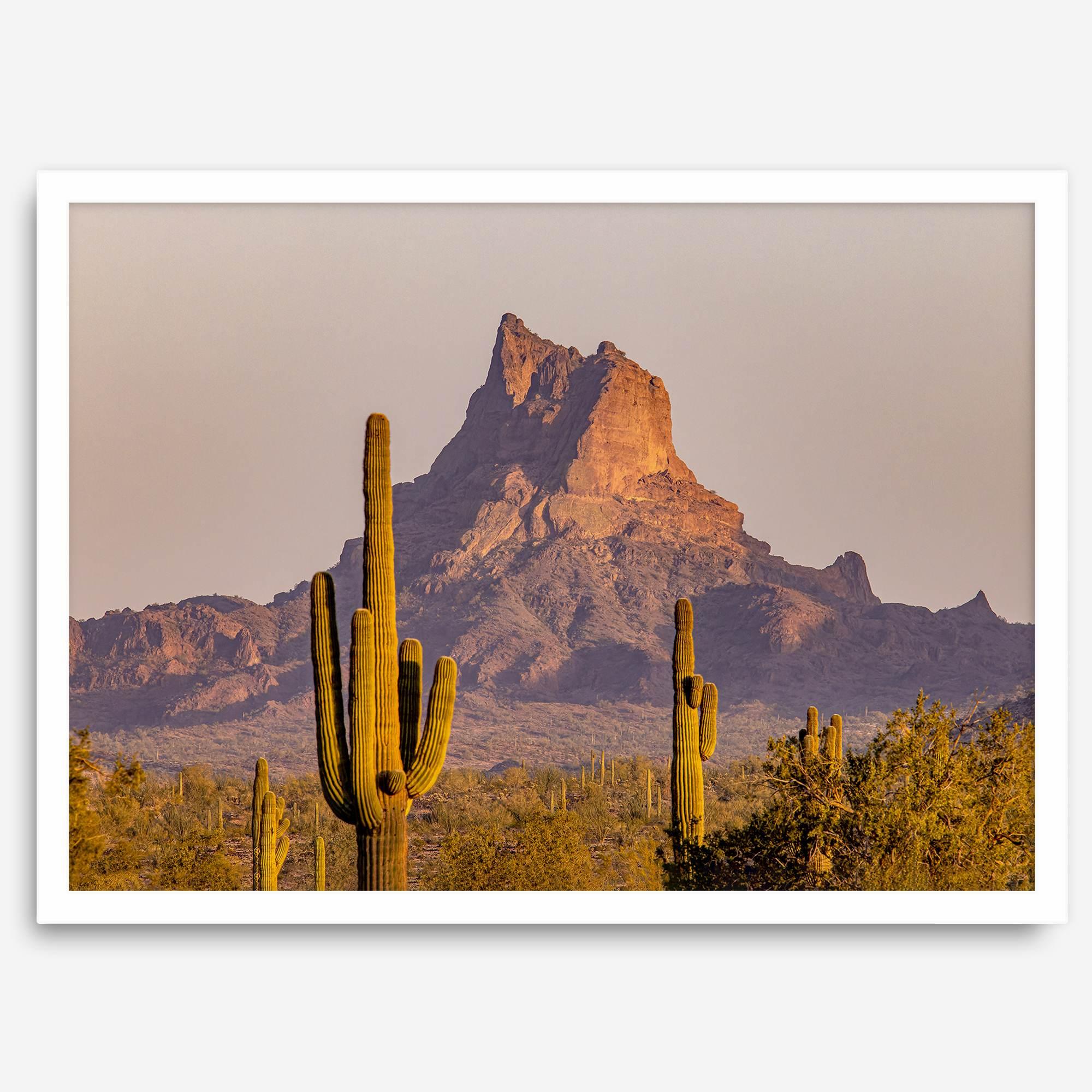 Framed photography print of an Arizona desert landscape with saguaro cacti and a sunlit mountain.