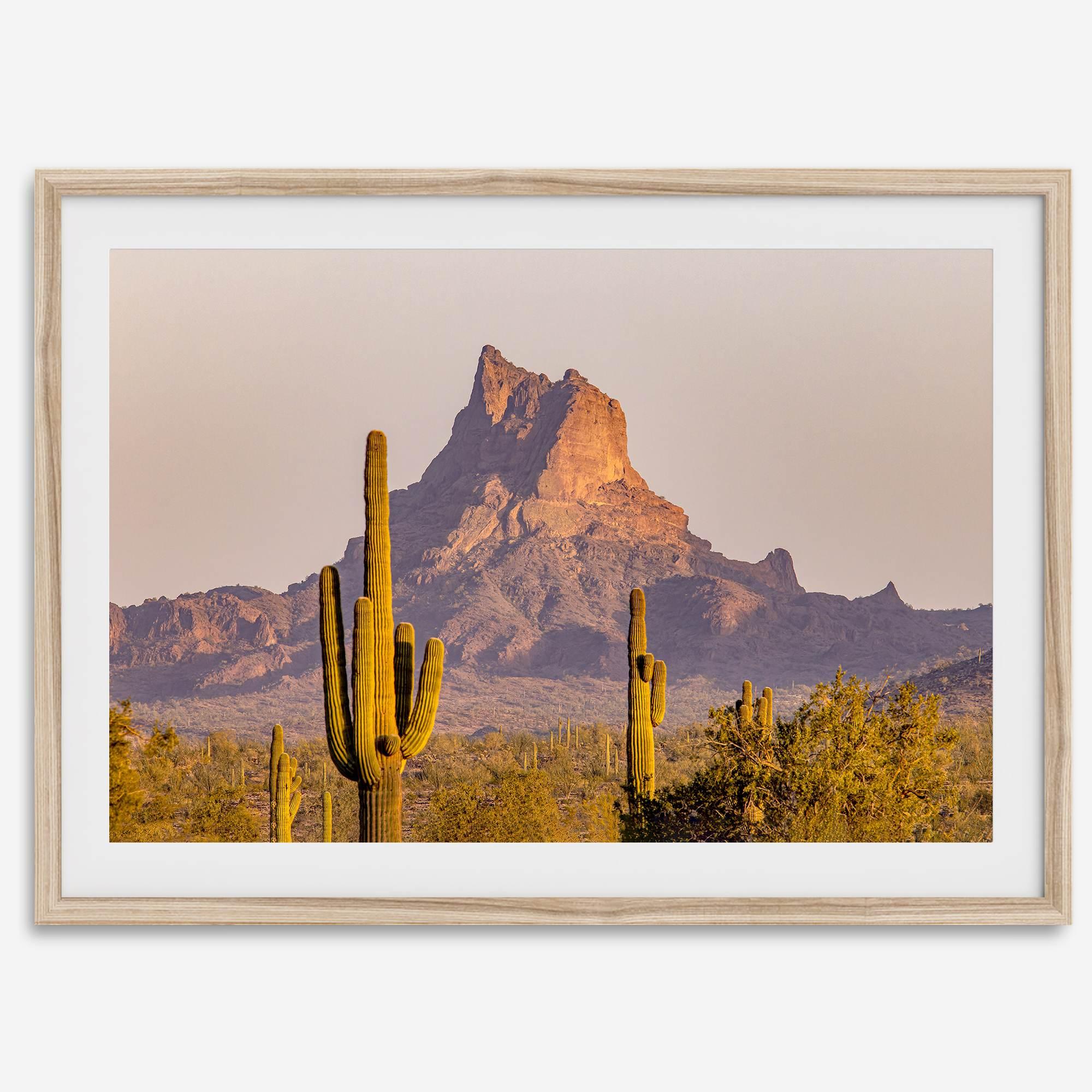 Framed photography print of an Arizona desert landscape with saguaro cacti and a sunlit mountain.