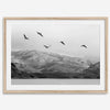 northwest coast pelicans black and white beach photography print.