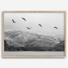 northwest coast pelicans black and white beach photography print.