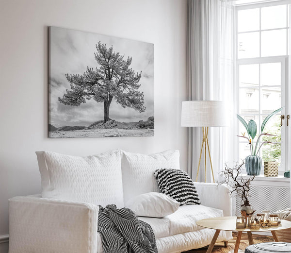 Close-up of black and white canvas texture showing detailed tree branches in scenic mountain setting.