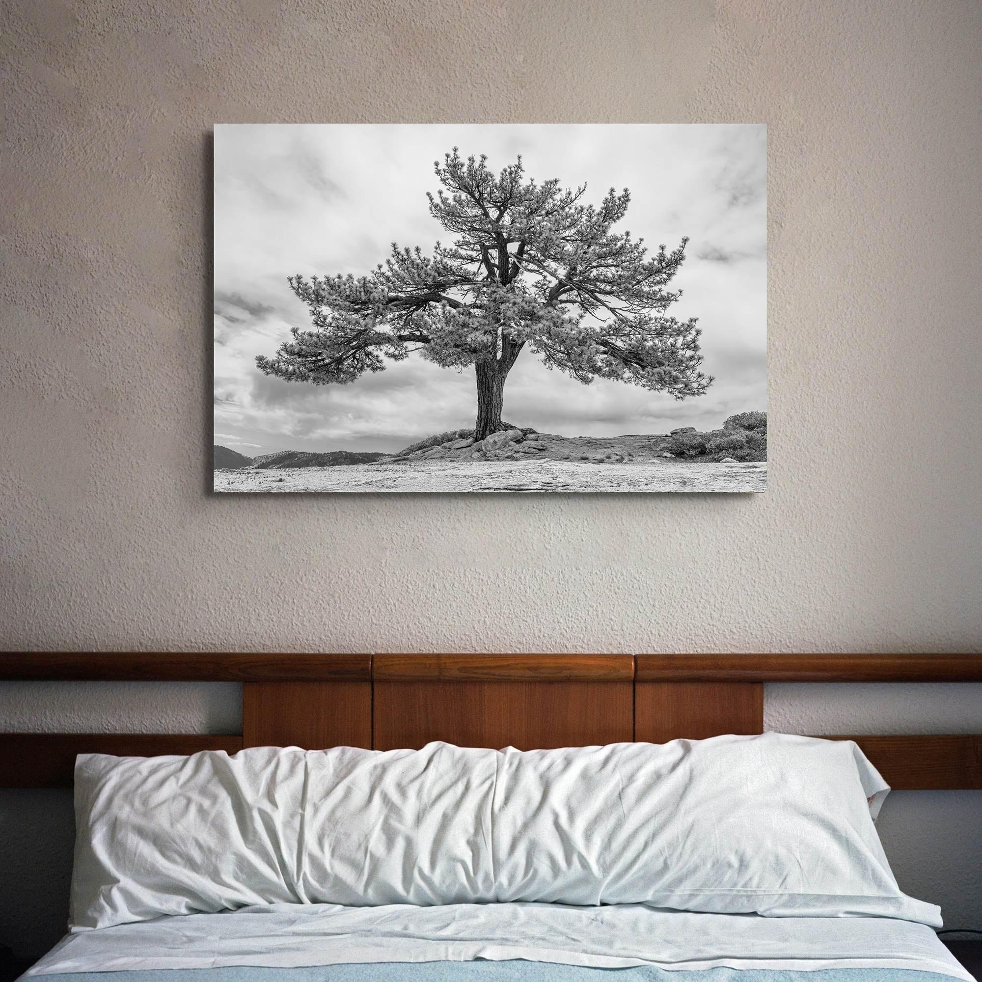 Close-up of black and white canvas texture showing detailed tree branches in scenic mountain setting.