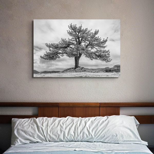 Close-up of black and white canvas texture showing detailed tree branches in scenic mountain setting.