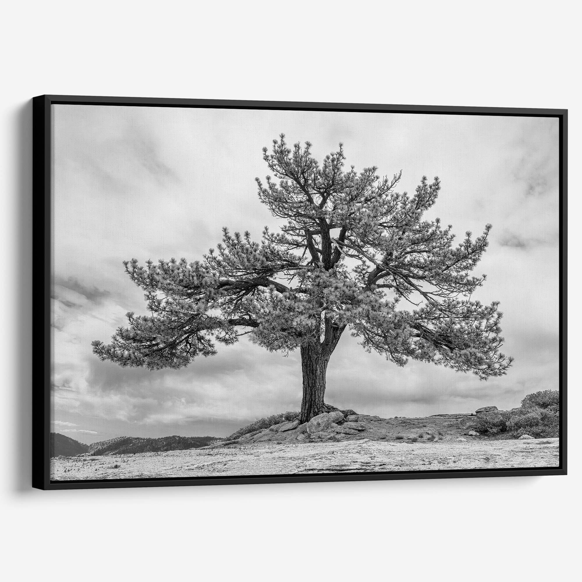 Close-up of black and white canvas texture showing detailed tree branches in scenic mountain setting.