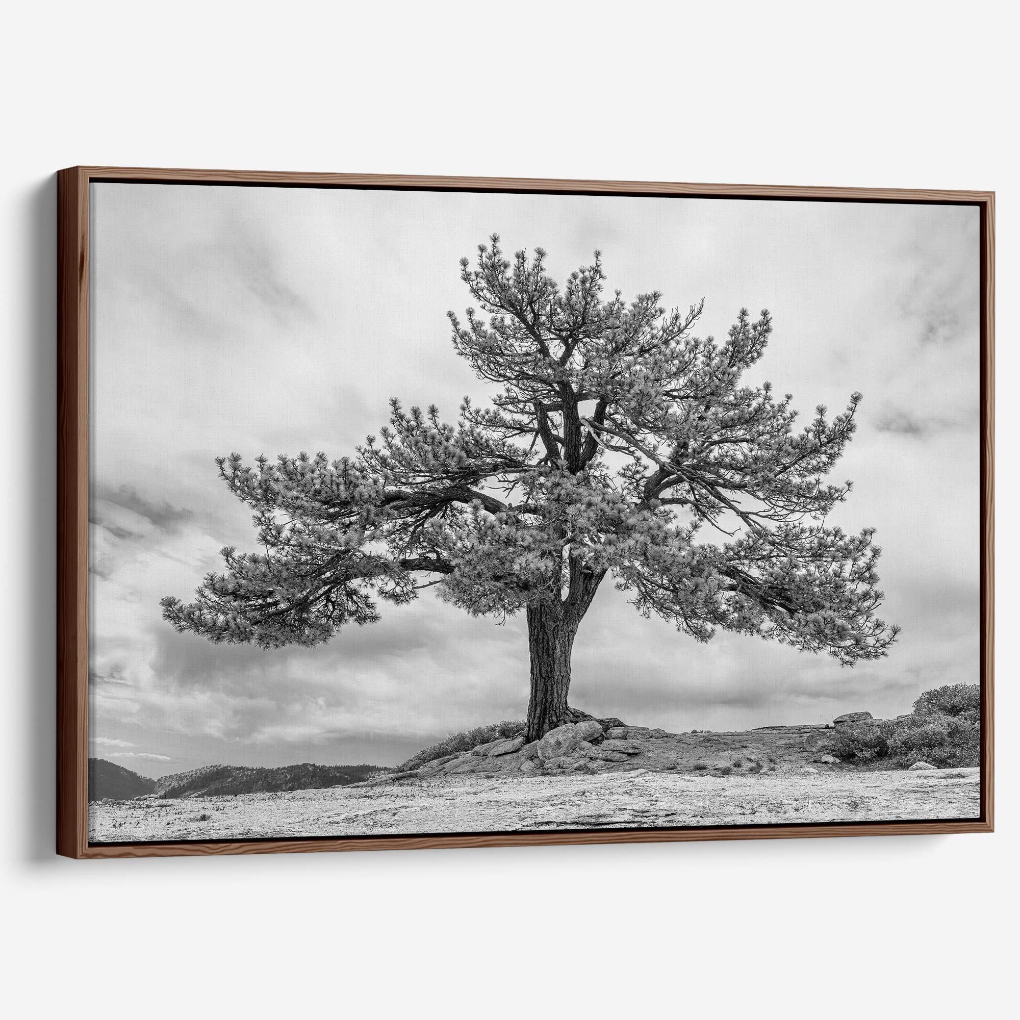 Close-up of black and white canvas texture showing detailed tree branches in scenic mountain setting.